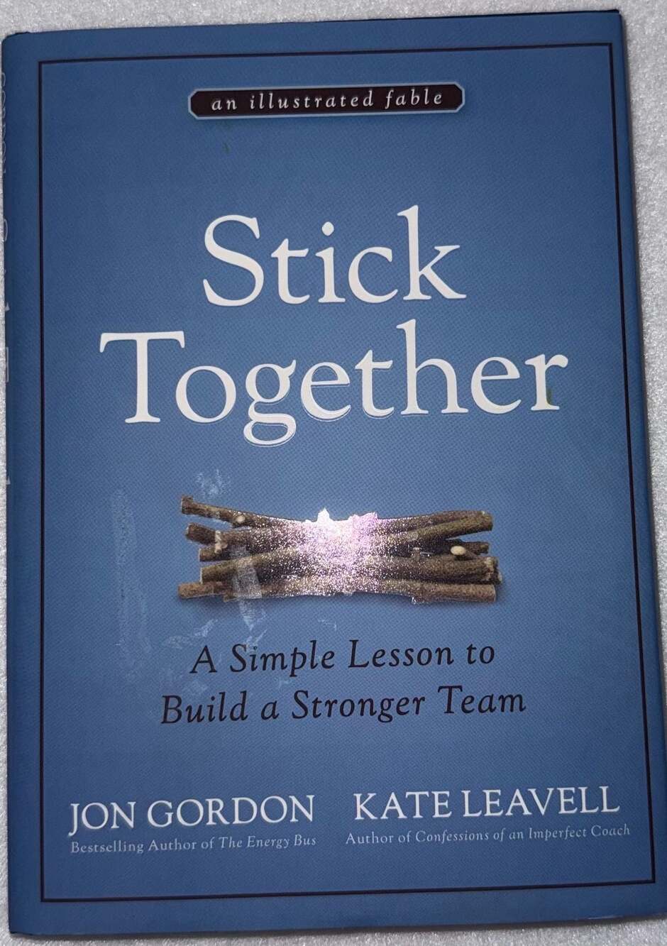 Stick Together: A Simple Lesson to Build a Stronger Team by Jon Gordon and Kate